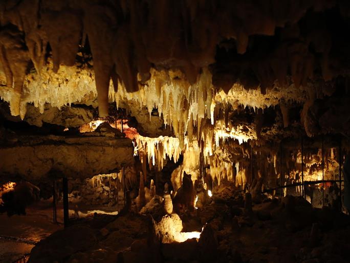 lascaux camping de pelonie